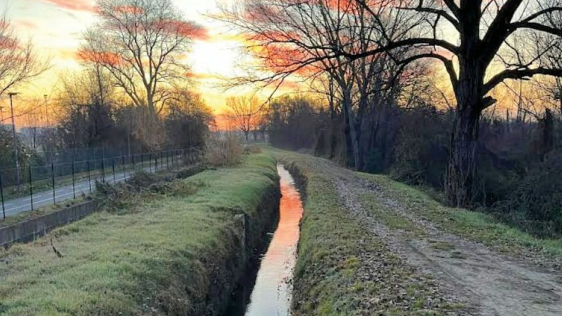 Canaletta