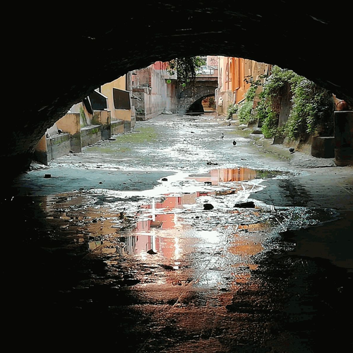 Sottorenei4